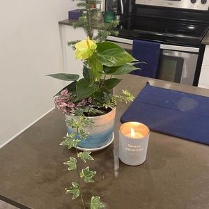 Meet your Posher, Mandy